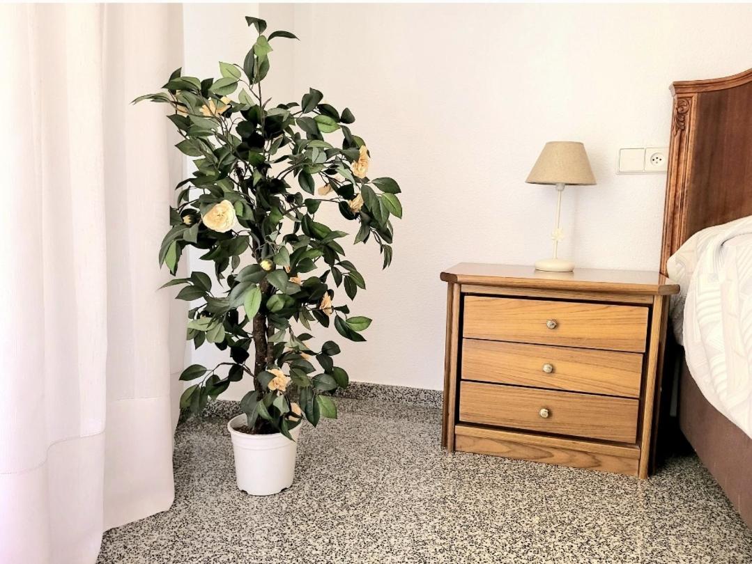 Апартаменты Amistosa, Habitacion Con Balcon, Alicante, Playa, Centro, Rambla, Mercado Экстерьер фото